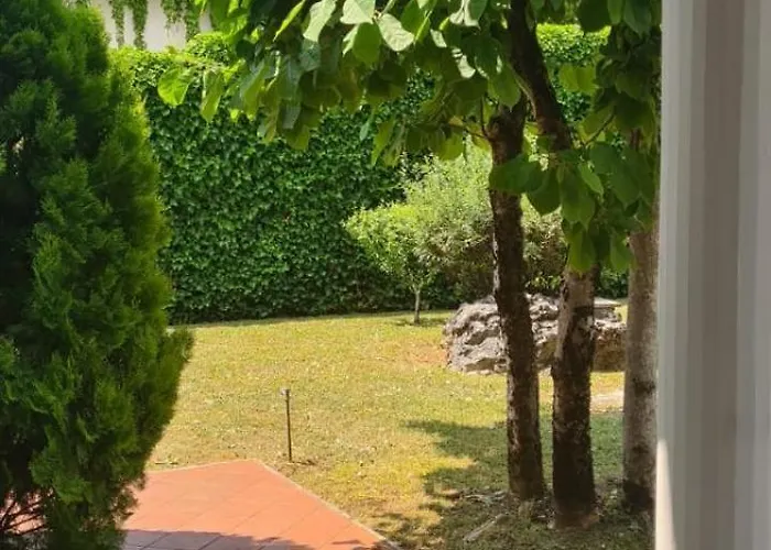 La Magnolia